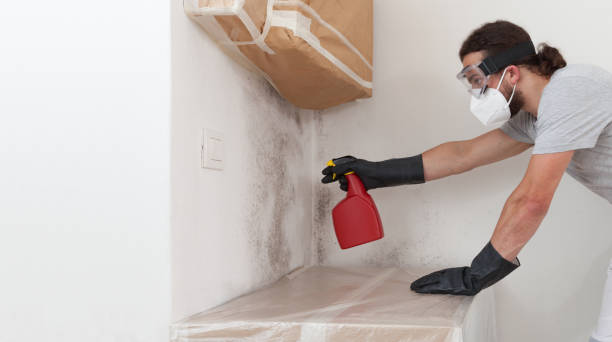 Professional Mold Inspection technician working in Somerset, TX